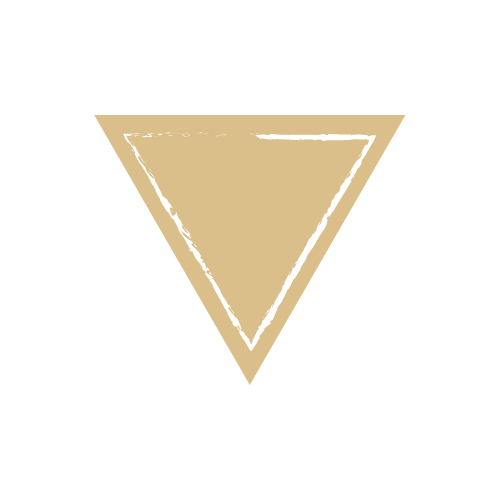 logo-pruhledne